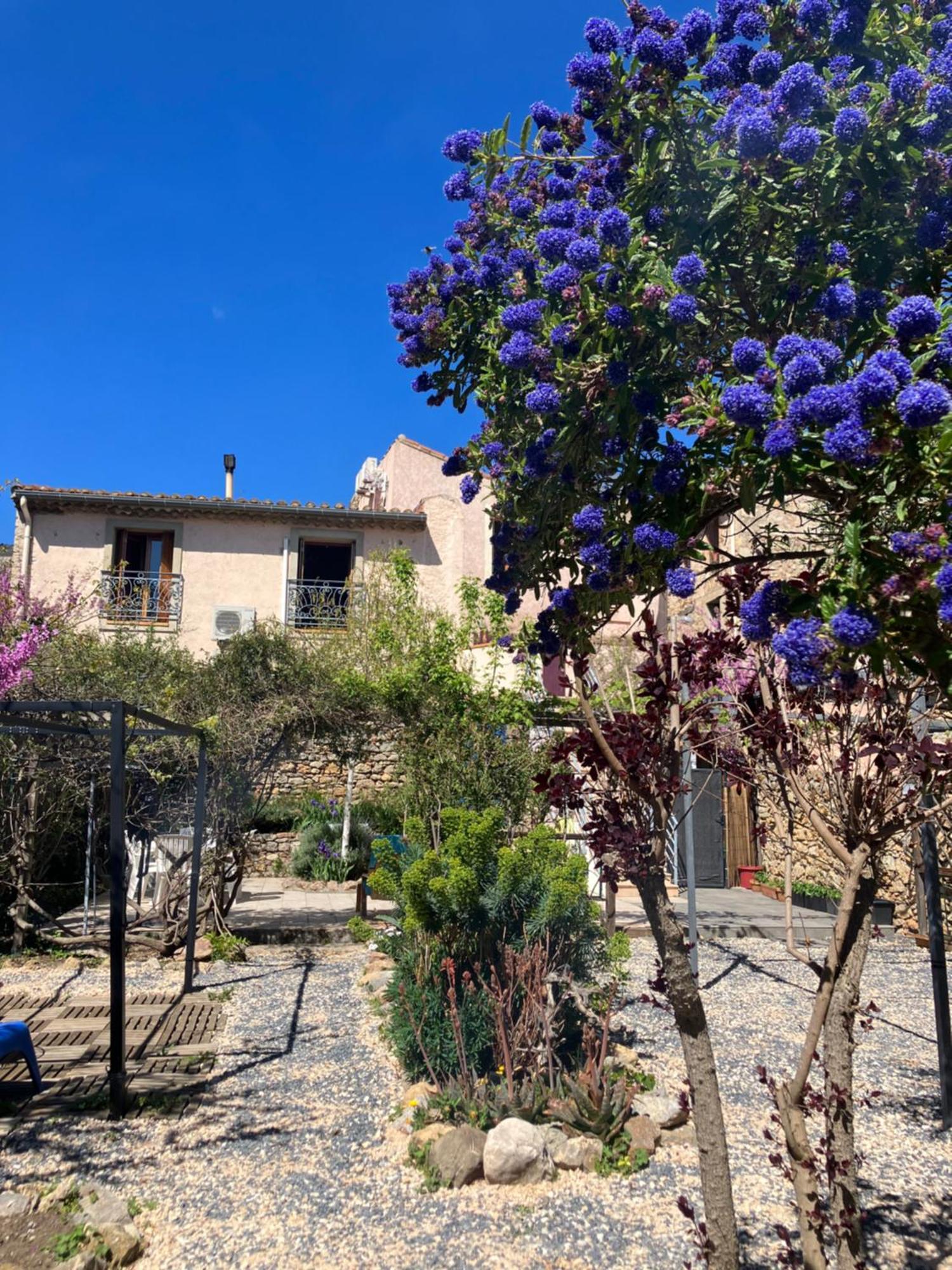 Chambres D'Hotes : Les Maisons De Gaia Tuchan Exterior foto